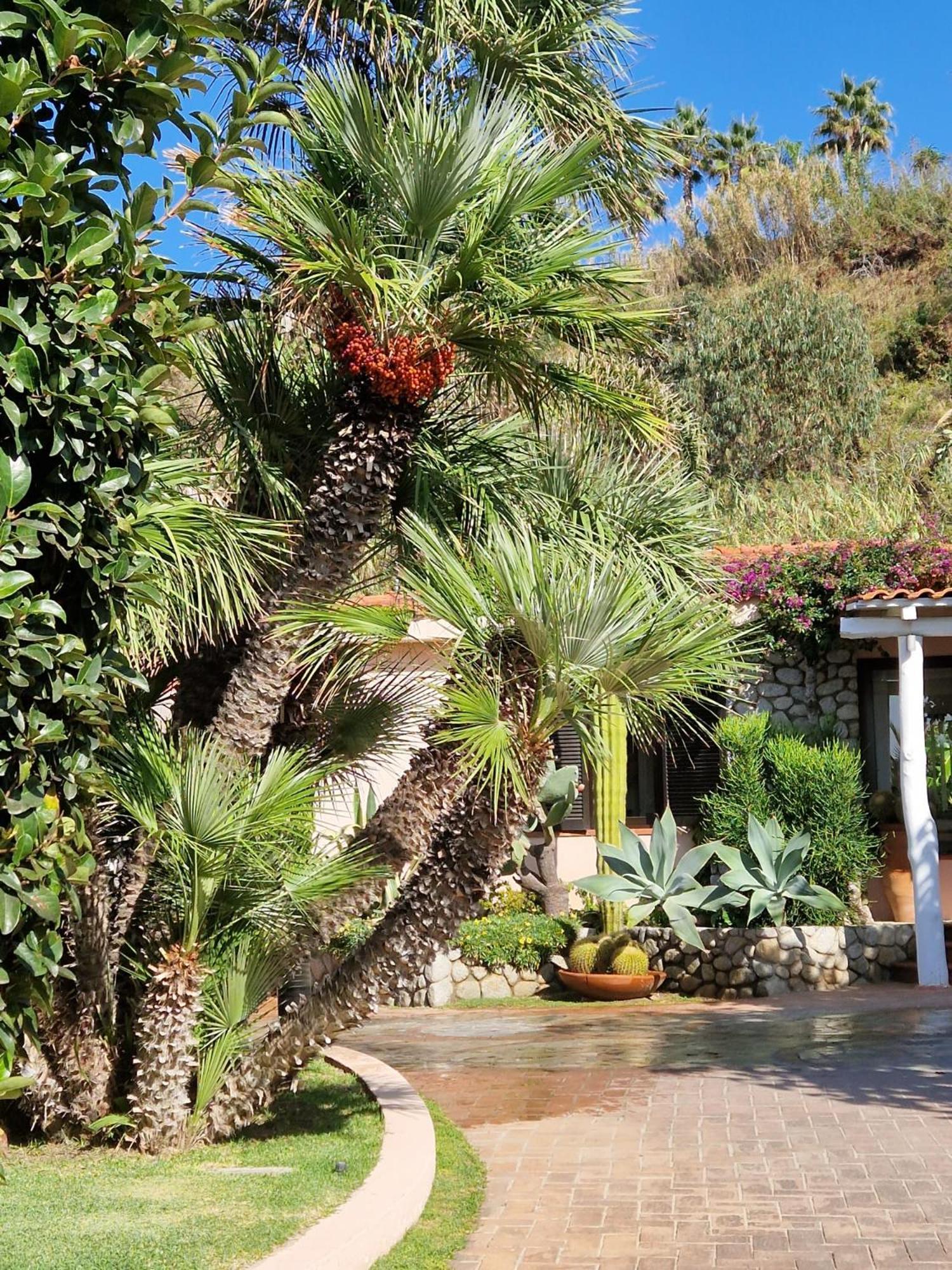 Hotel Villaggio Cala Di Volpe Capo Vaticano Exteriör bild