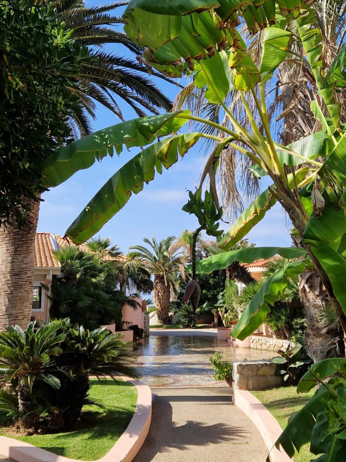 Hotel Villaggio Cala Di Volpe Capo Vaticano Exteriör bild