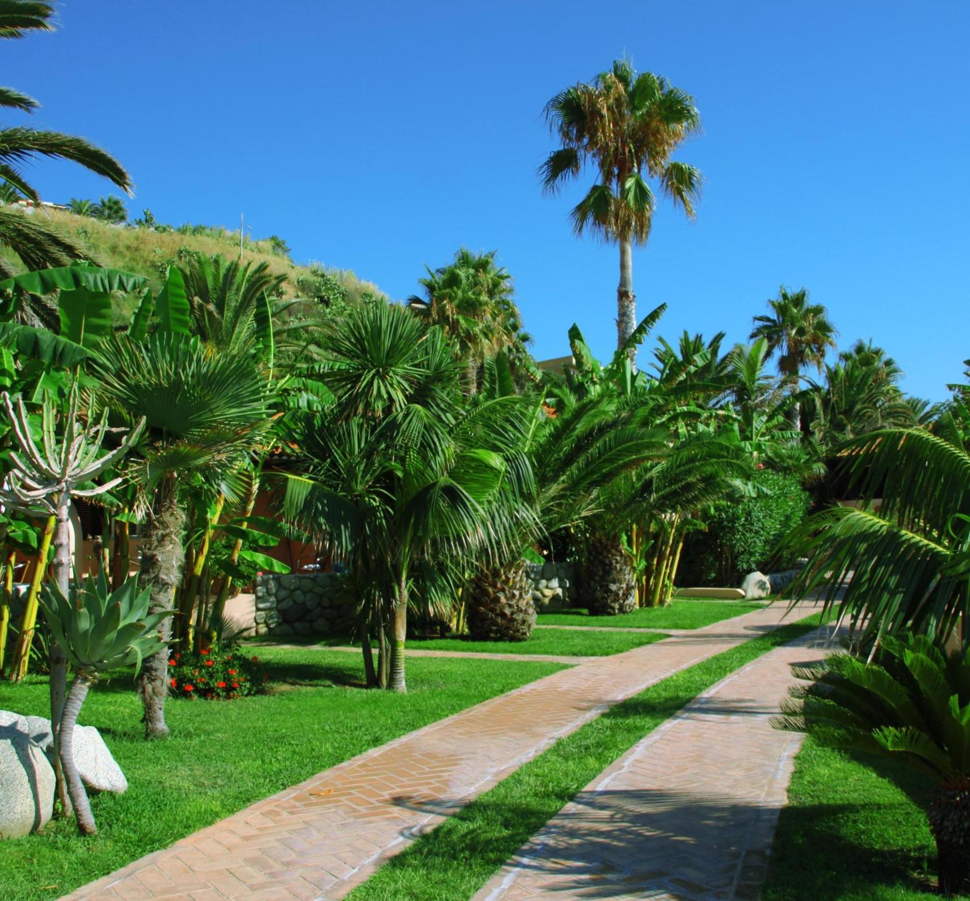Hotel Villaggio Cala Di Volpe Capo Vaticano Exteriör bild